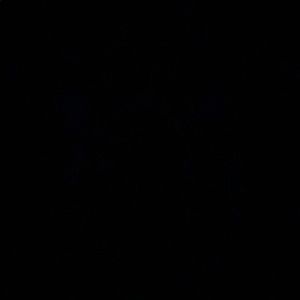 Meet your Posher, Julianna